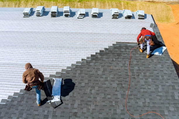 Best Roof Waterproofing Services  in Prospect Heights, IL