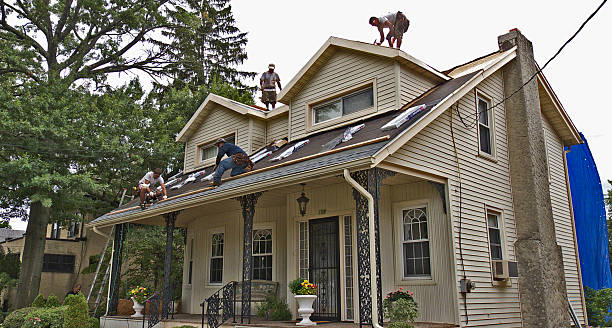 Best Commercial Roofing Services  in Prospect Heights, IL