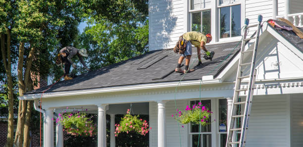 Best Roof Maintenance Services  in Prospect Heights, IL